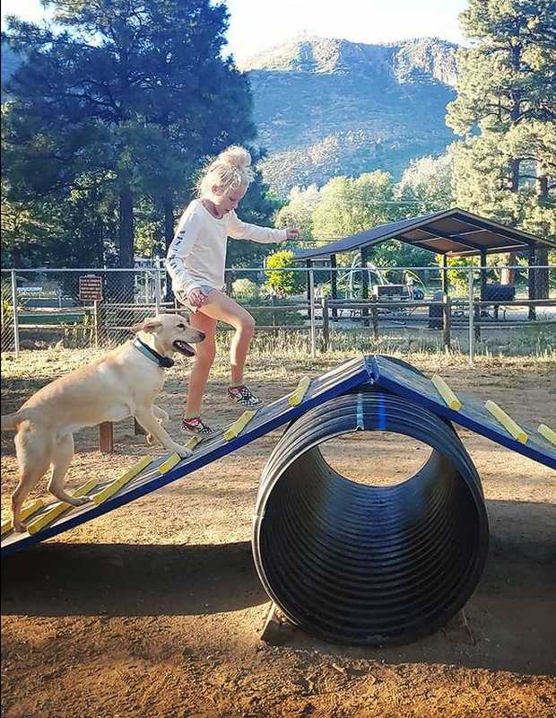 Dog Friendly Hotel Flagstaff, AZ High Country Motor Lodge